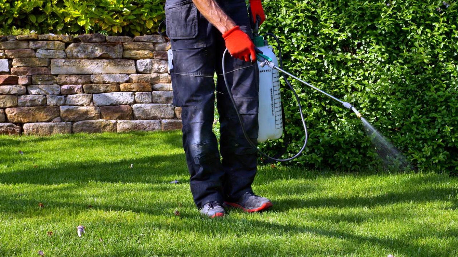 sulfato de cobre que es y como se usa