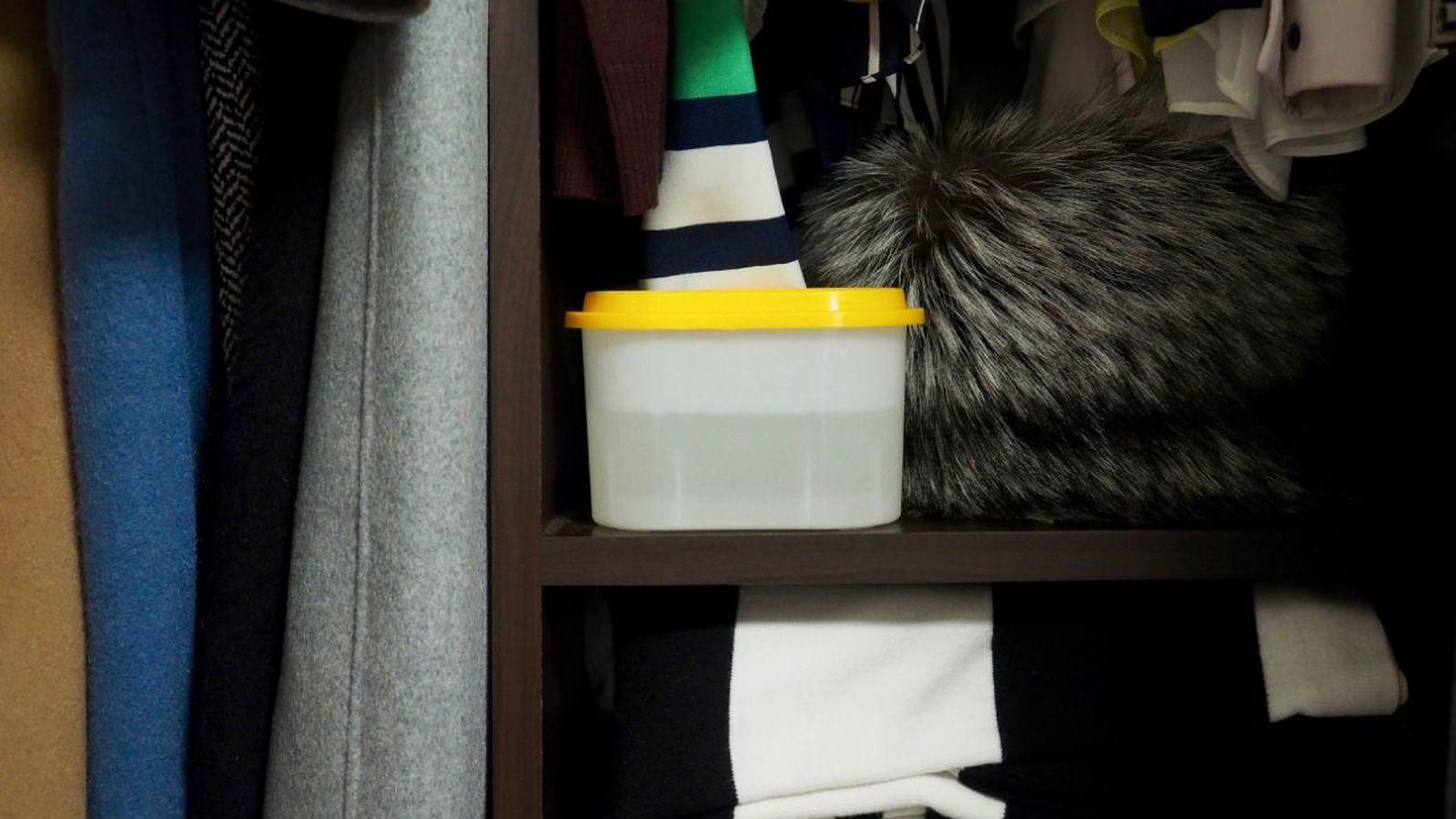 deshumidificador para acabar con la humedad armario closet