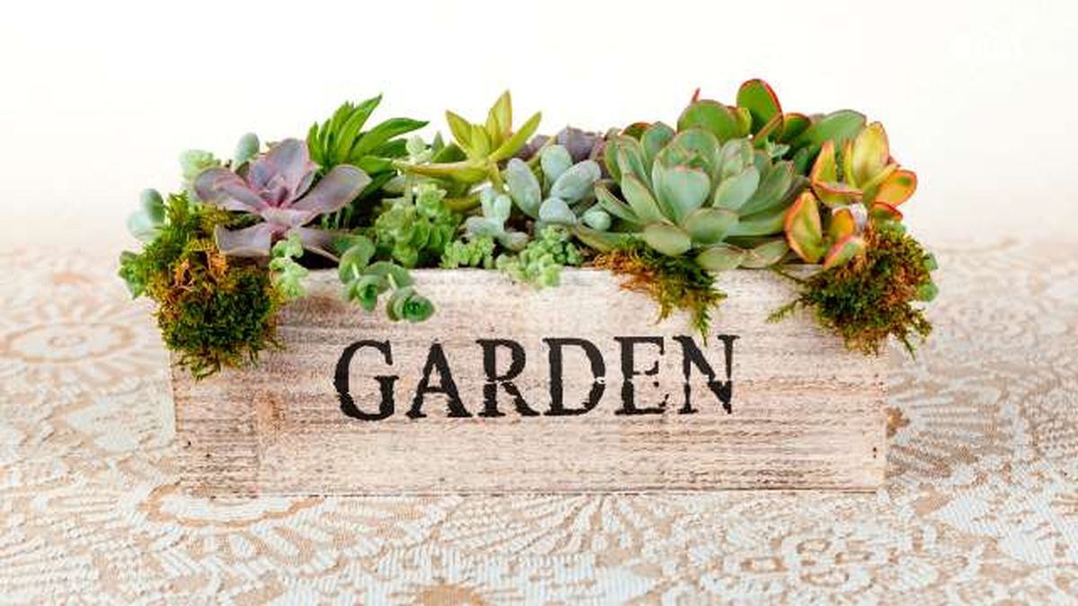 reutilizar cajones 6