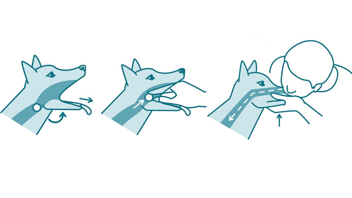 primeros auxilios atragantamiento