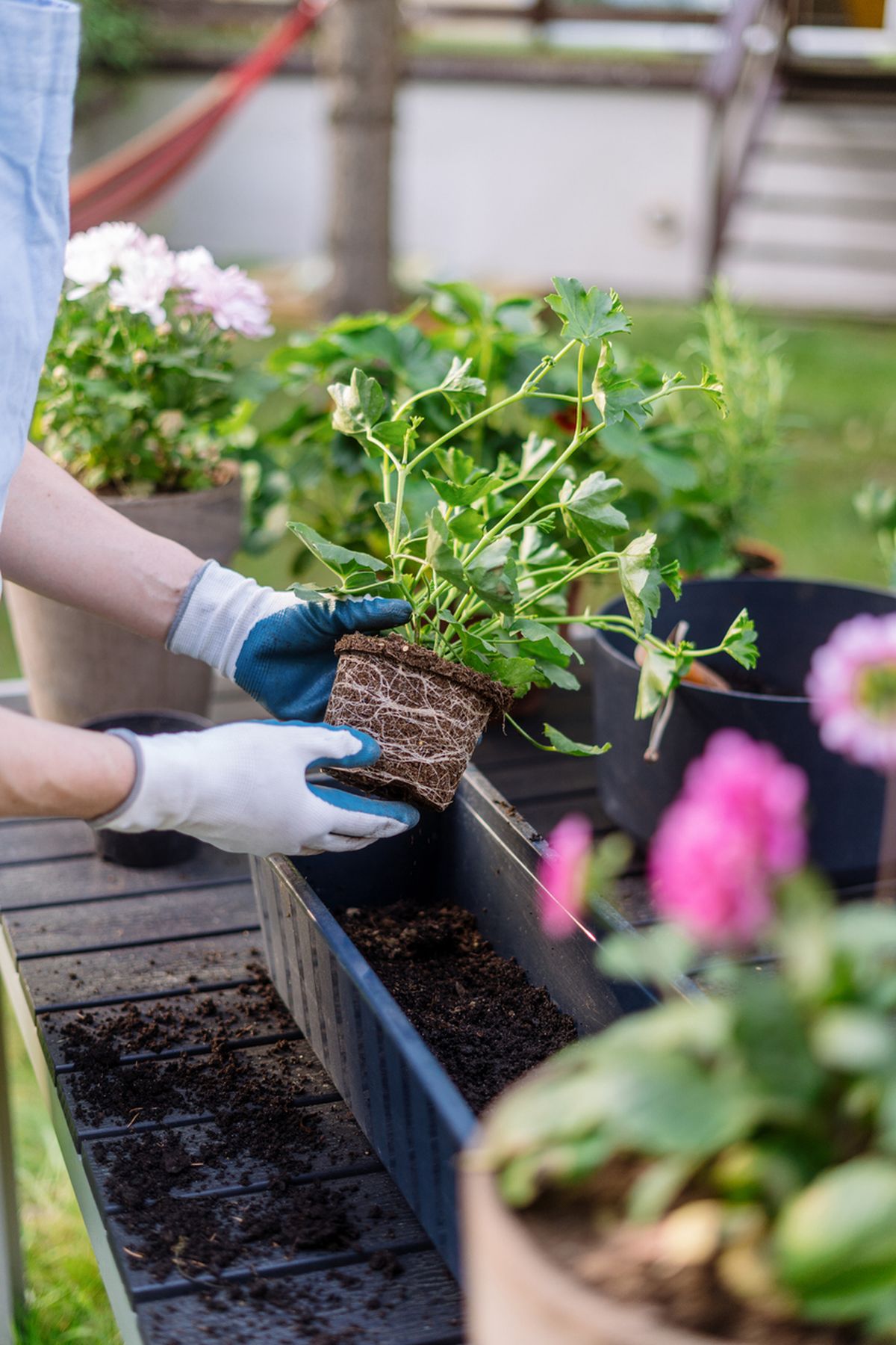 Retira la tierra antigua