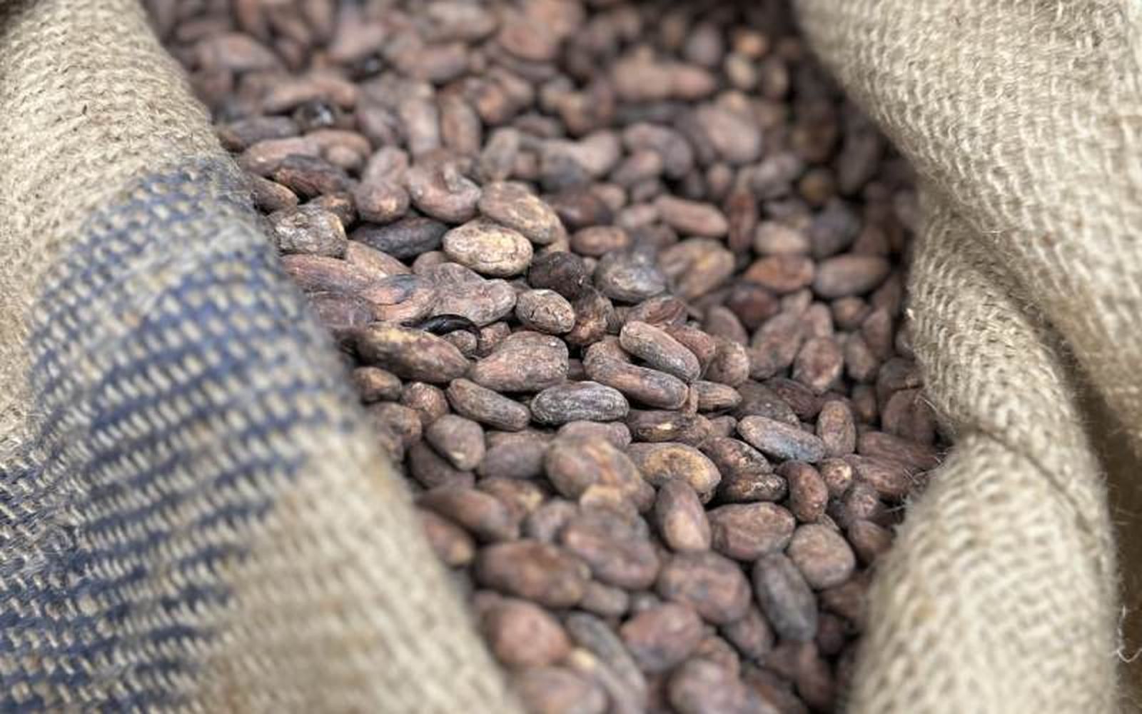 El precio de la tonelada de cacao ya se sitúa en 11.870 dólares