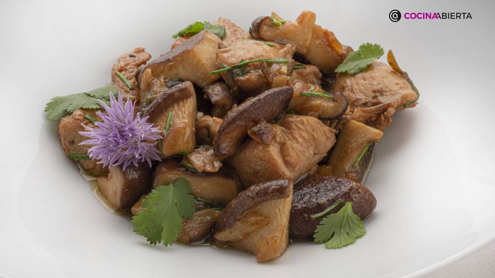 karl7139 salteado pavo xl