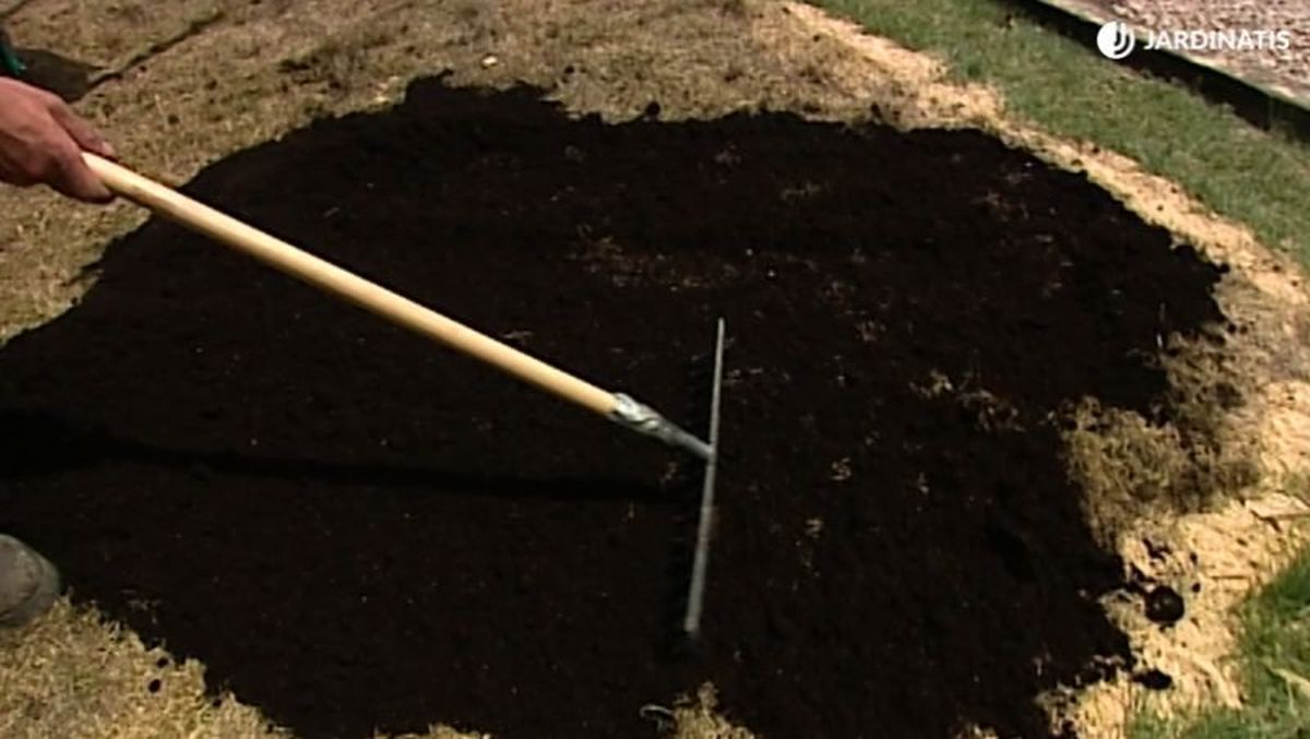 Aplica una capa de recebo para césped