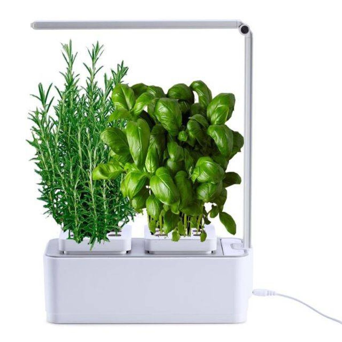 amzWOW Interior hidroponico