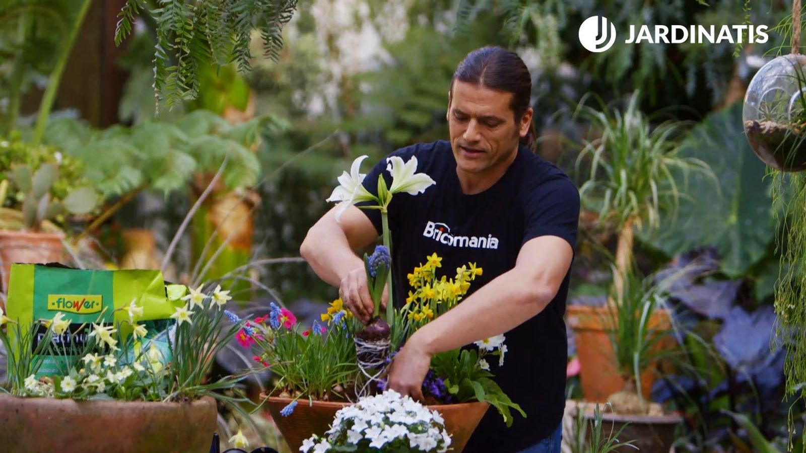 composicion bulbos narcisos muscarias jacintos xl brico 902 jardin