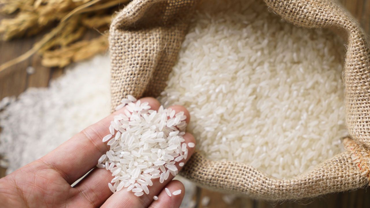 origen leyenda arroz caracteristicas