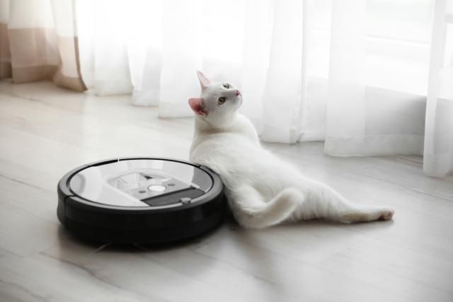 gato robot aspiradora