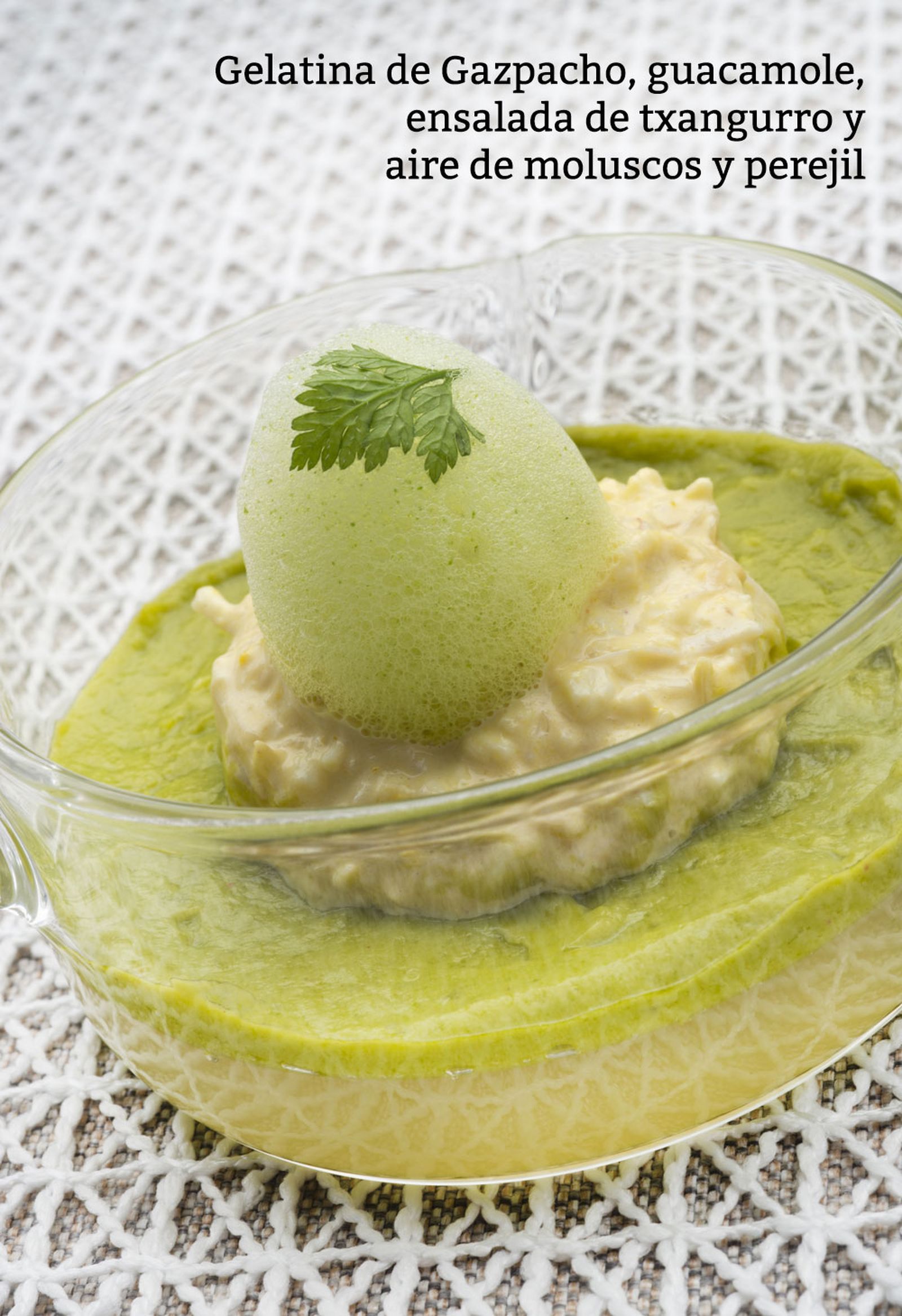 gelatina v