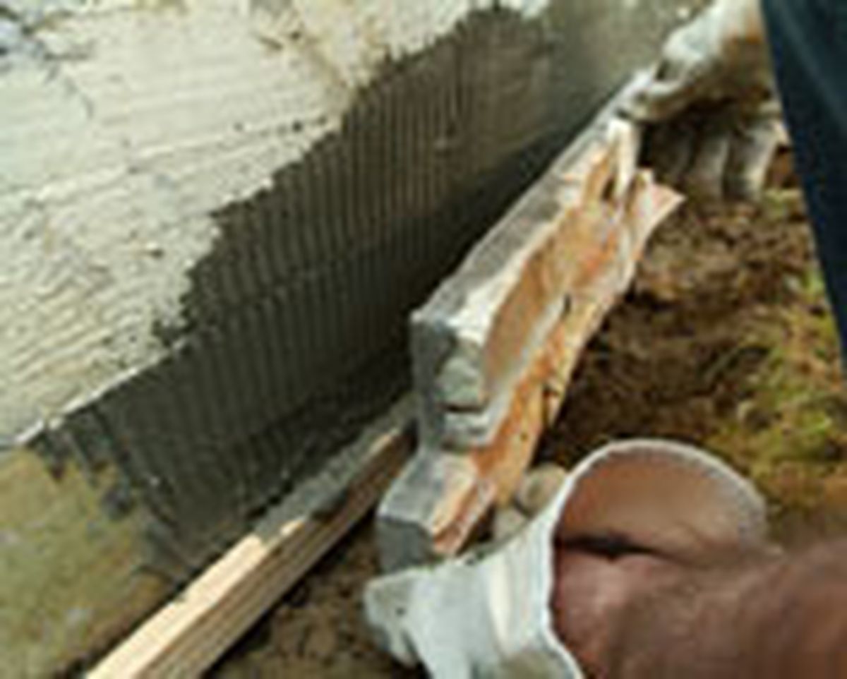 462 pied nat ext p16