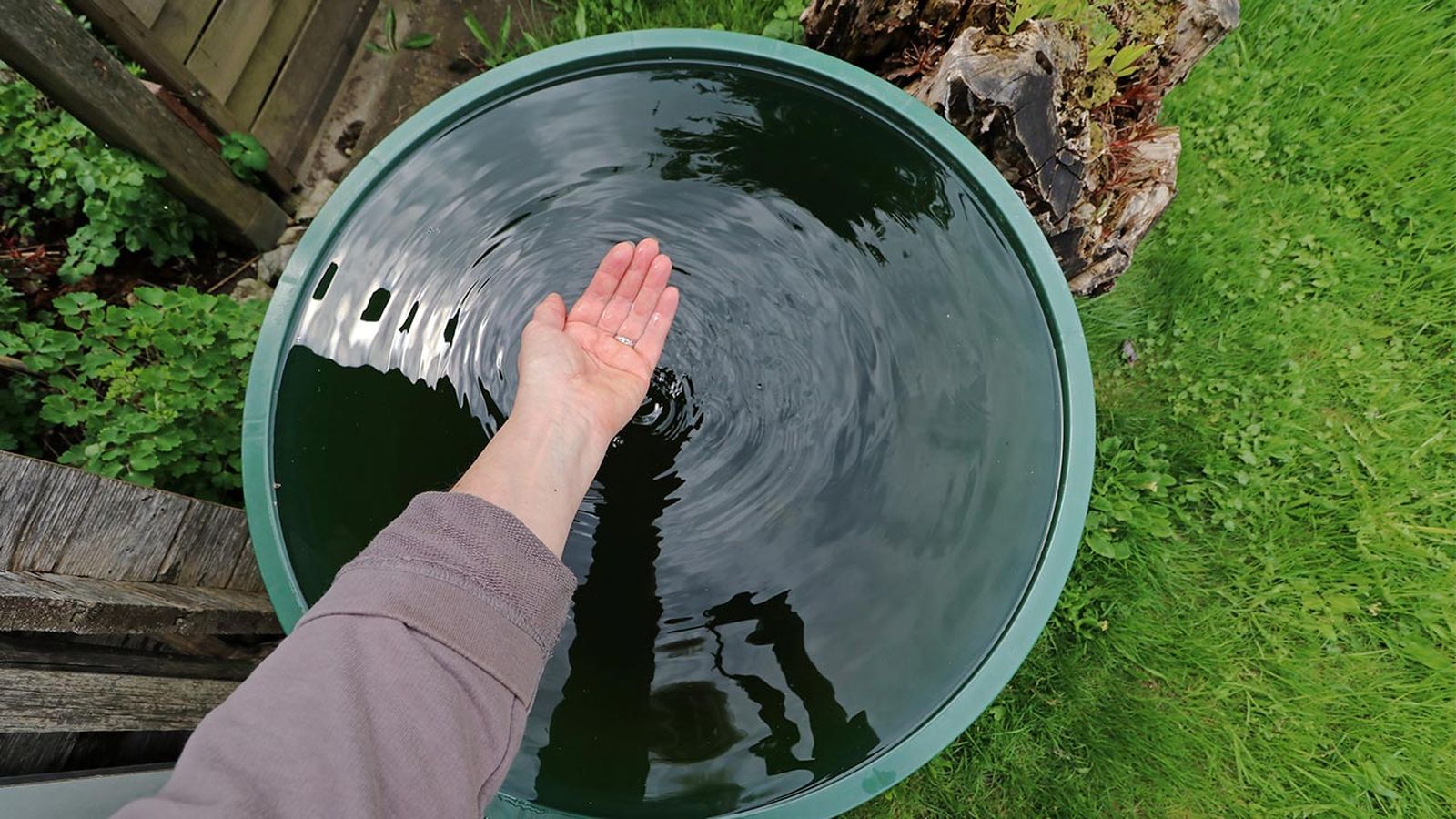 se puede beber agua de lluvia