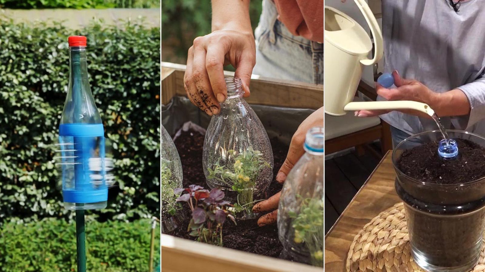 usos de la botella plastico en la jardineria xl
