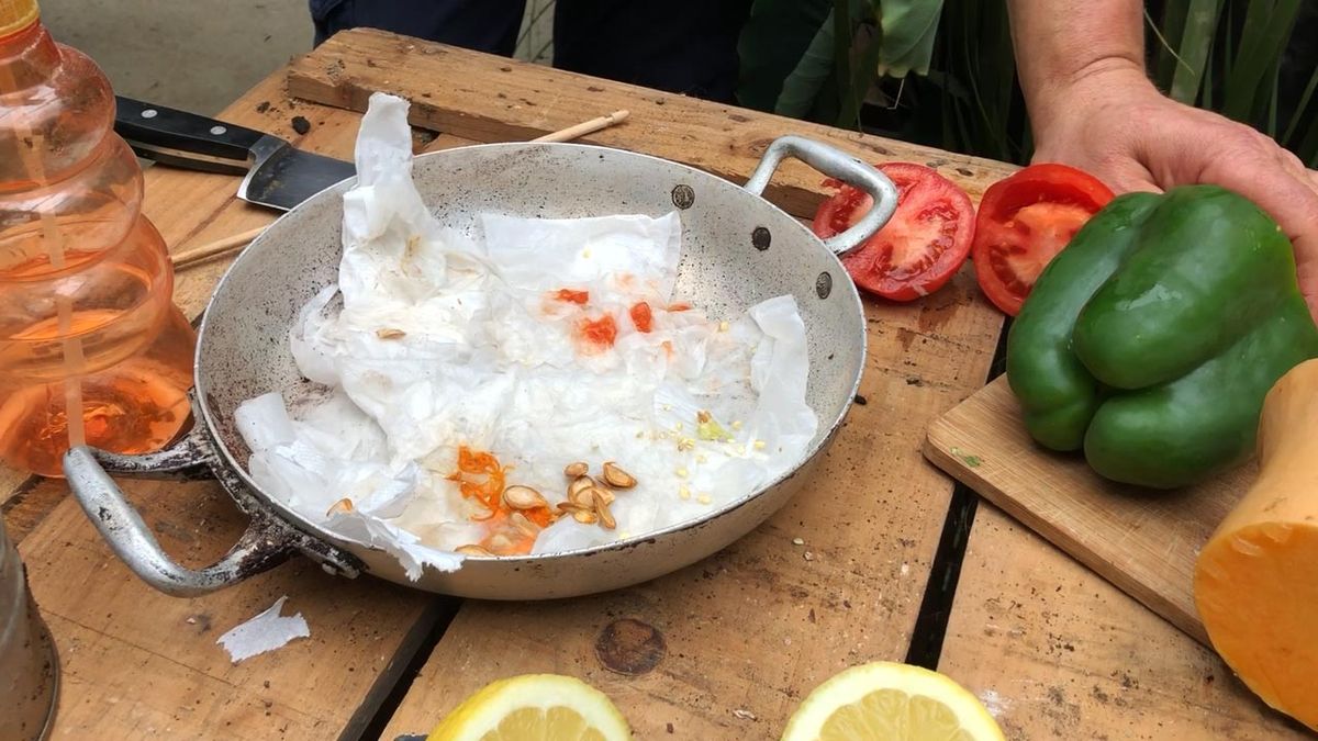 germinar semillas en papel higienico