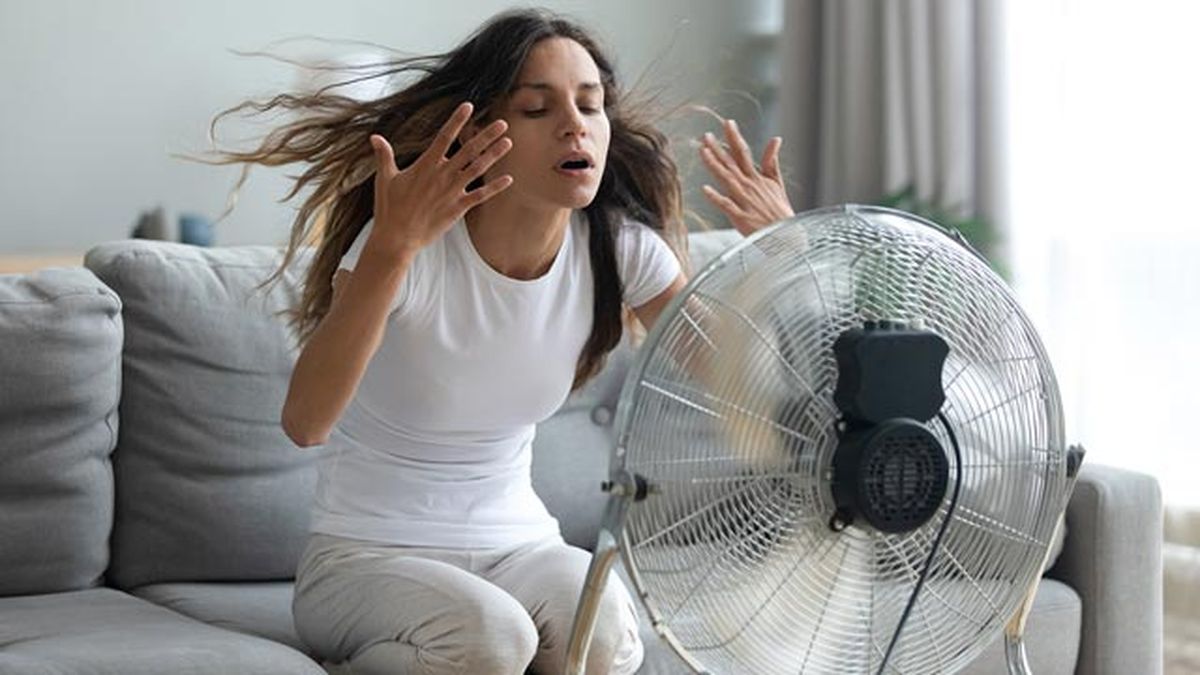 ventiladores economicos de bajo consumo