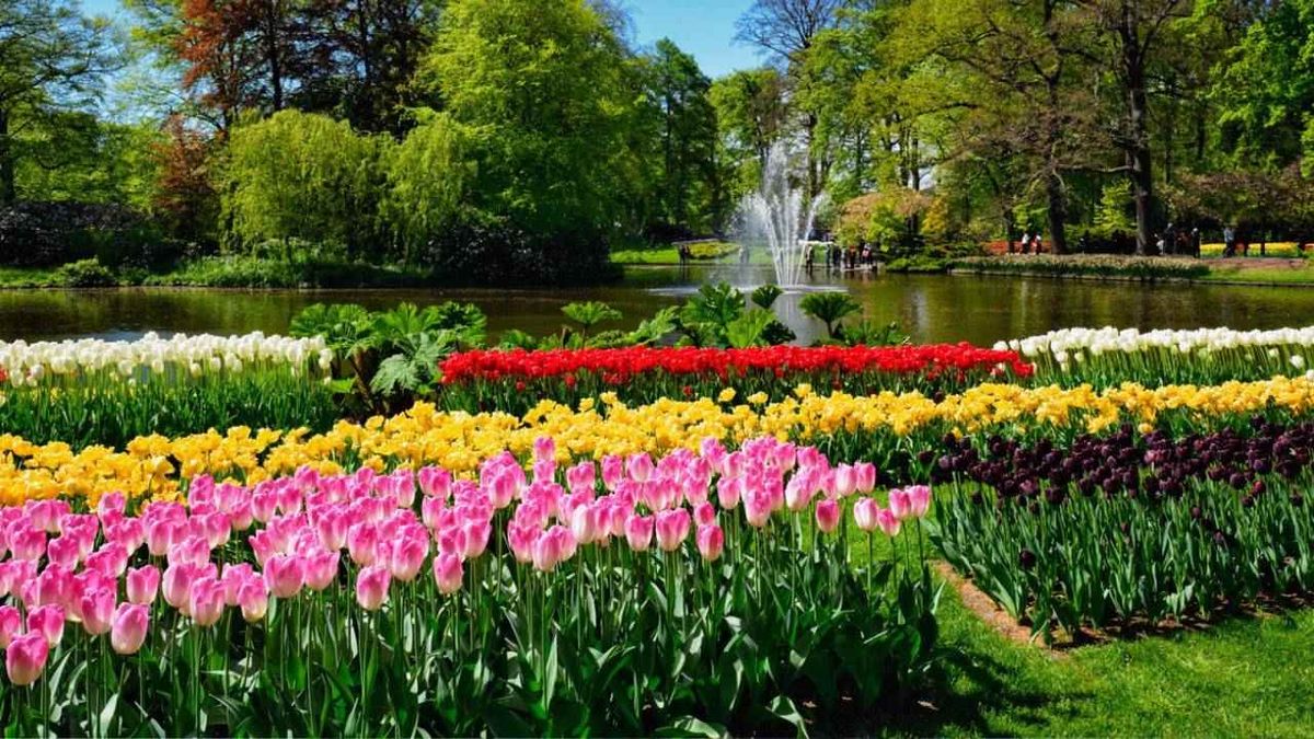 Jardines de Keukenhof.