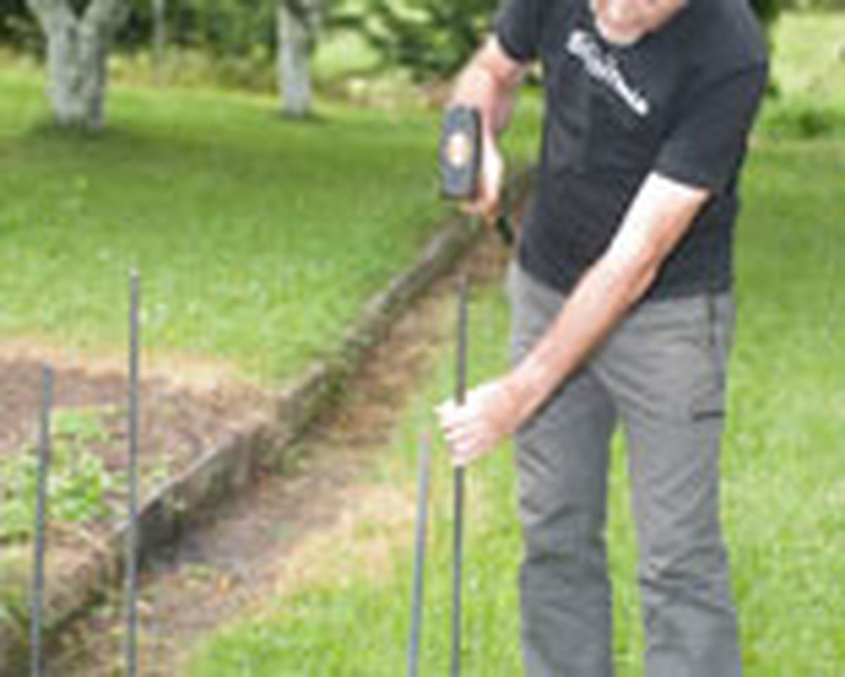 brico 0654 portico jardin paso 14