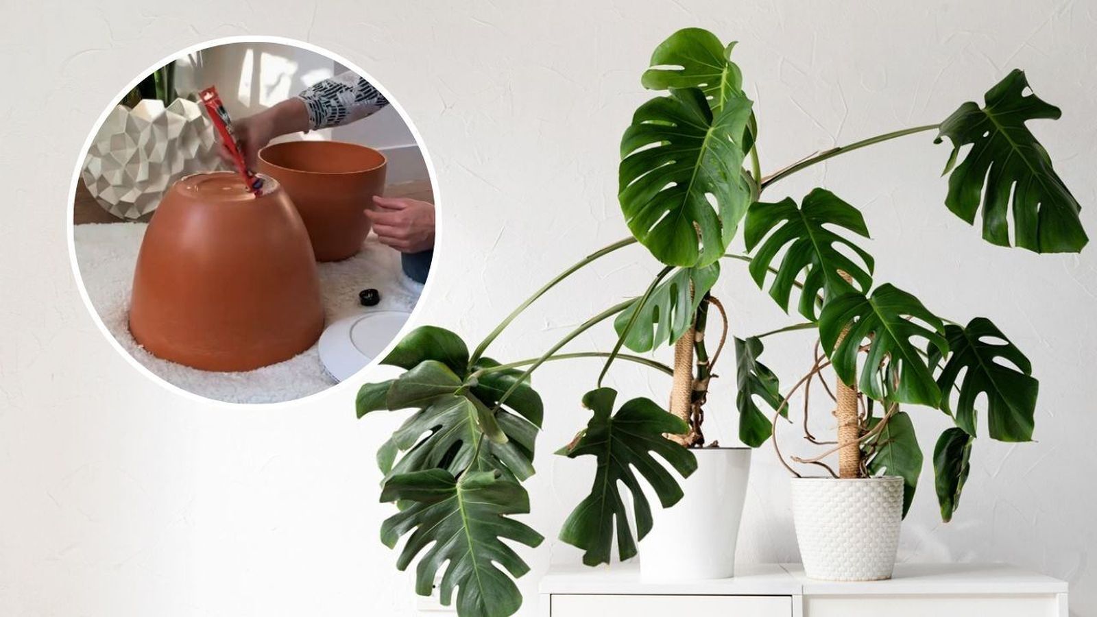 Con creatividad puedes lograr maceteros muy originales y elegantes.