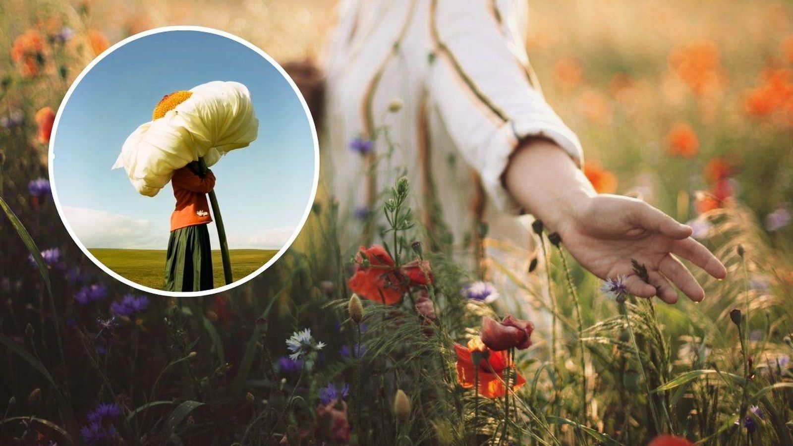 Hana Katoba y la magia de la IA.