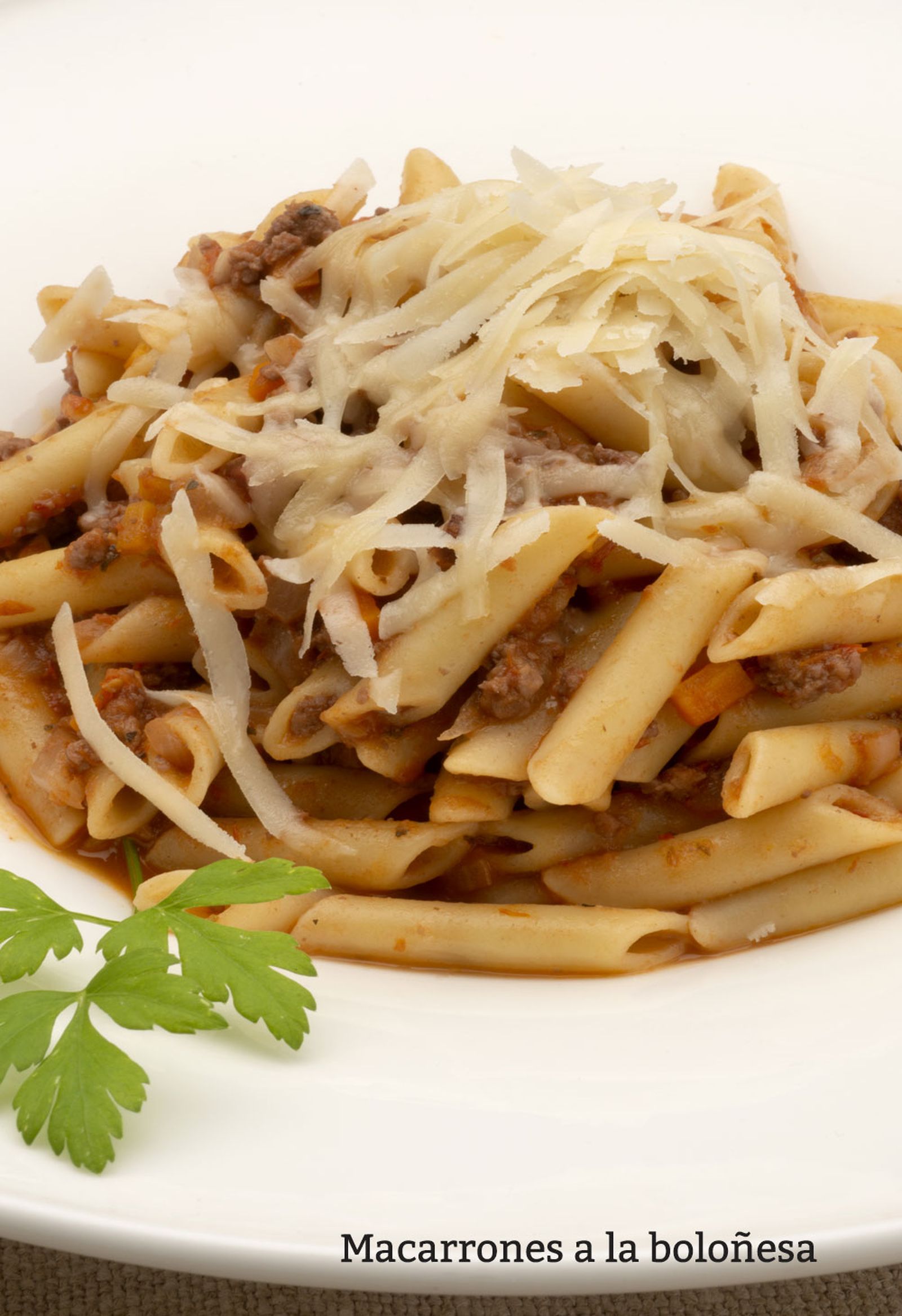 macarrones bolonesa vertical