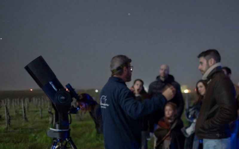 Observar las perseidas desde la tranquilidad de los viñedos es una experiencia única