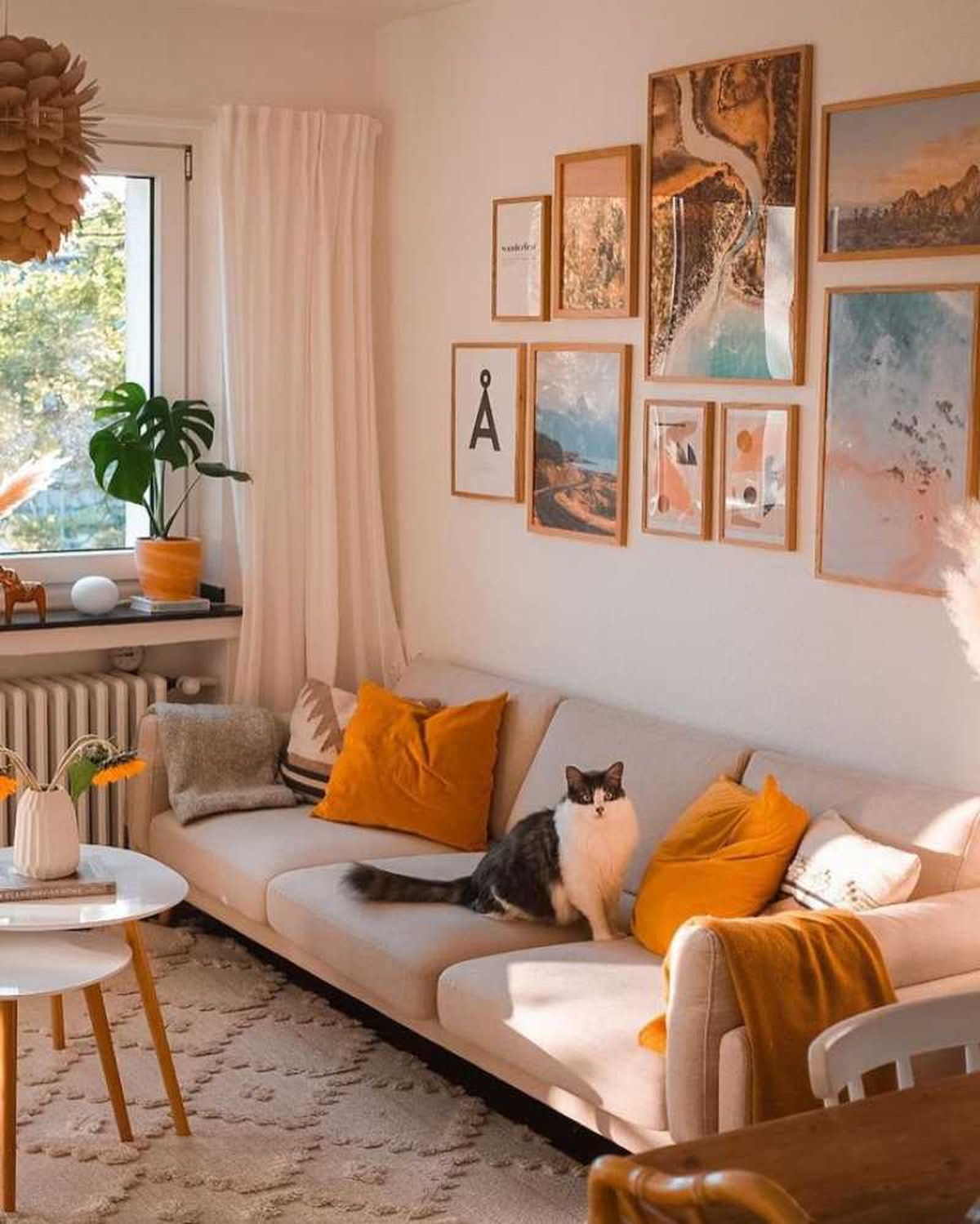 Gatito en un sofá colorido.