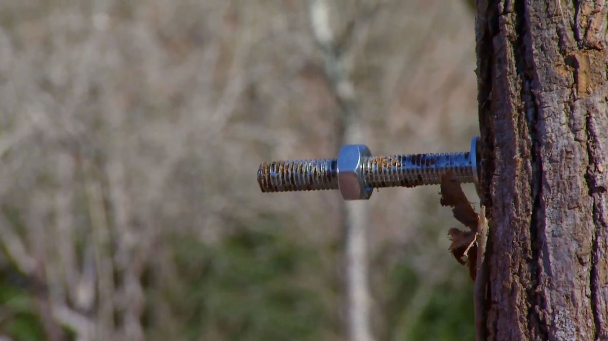 Hacer una estructura para un rosal trepador paso 2