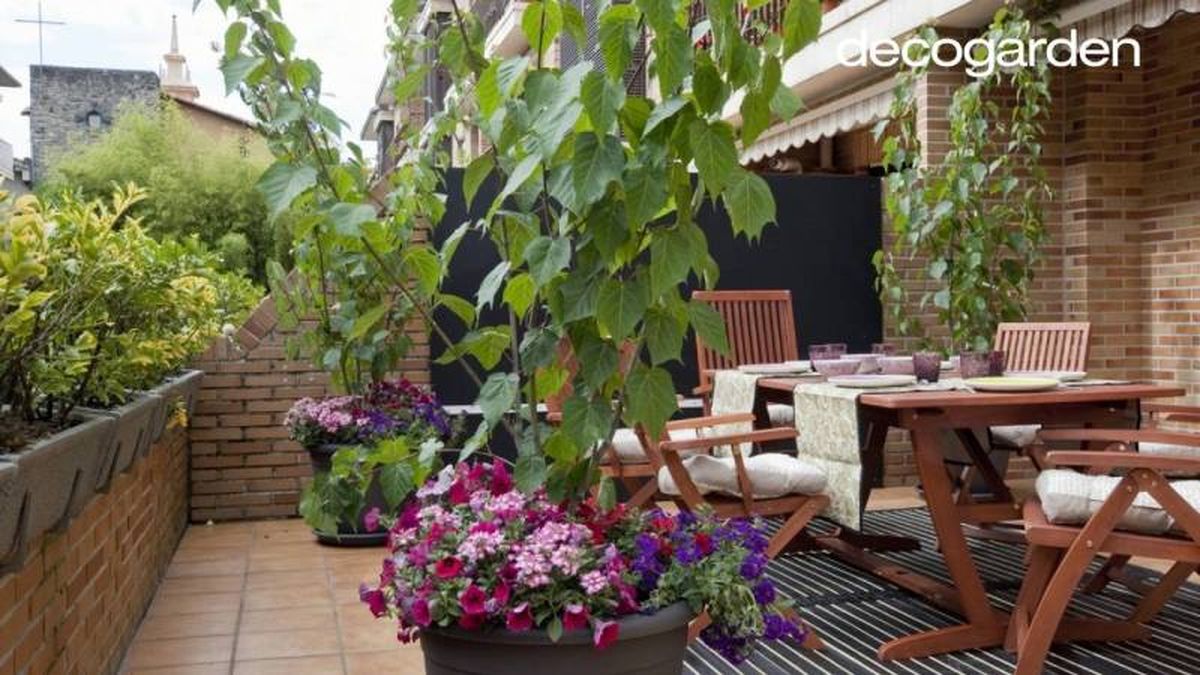 Terraza llena de color con plantas y flores.