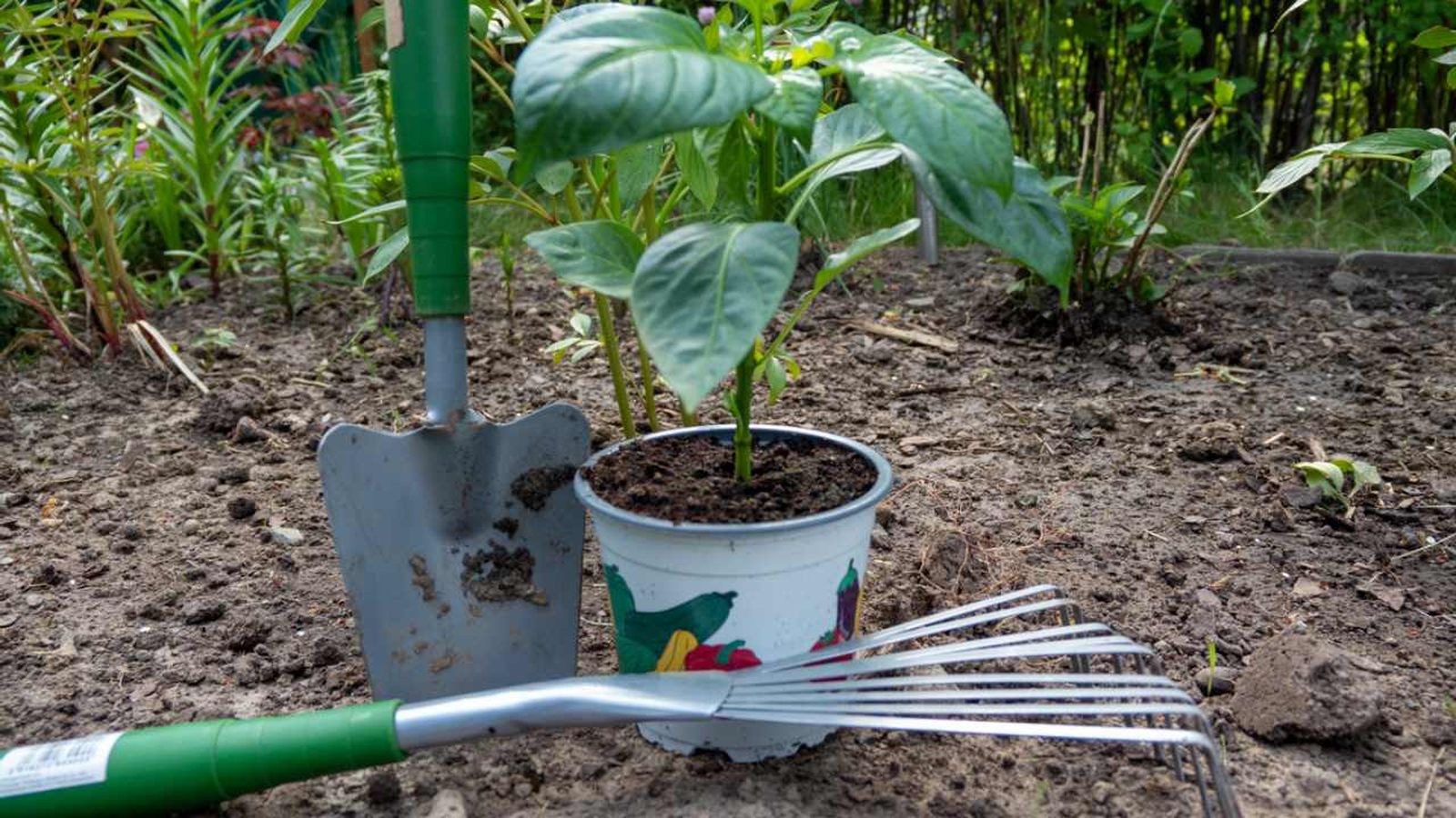 herramientas para jardineros principiantes xl