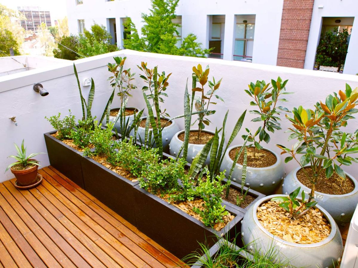 Organiza bien la terraza.