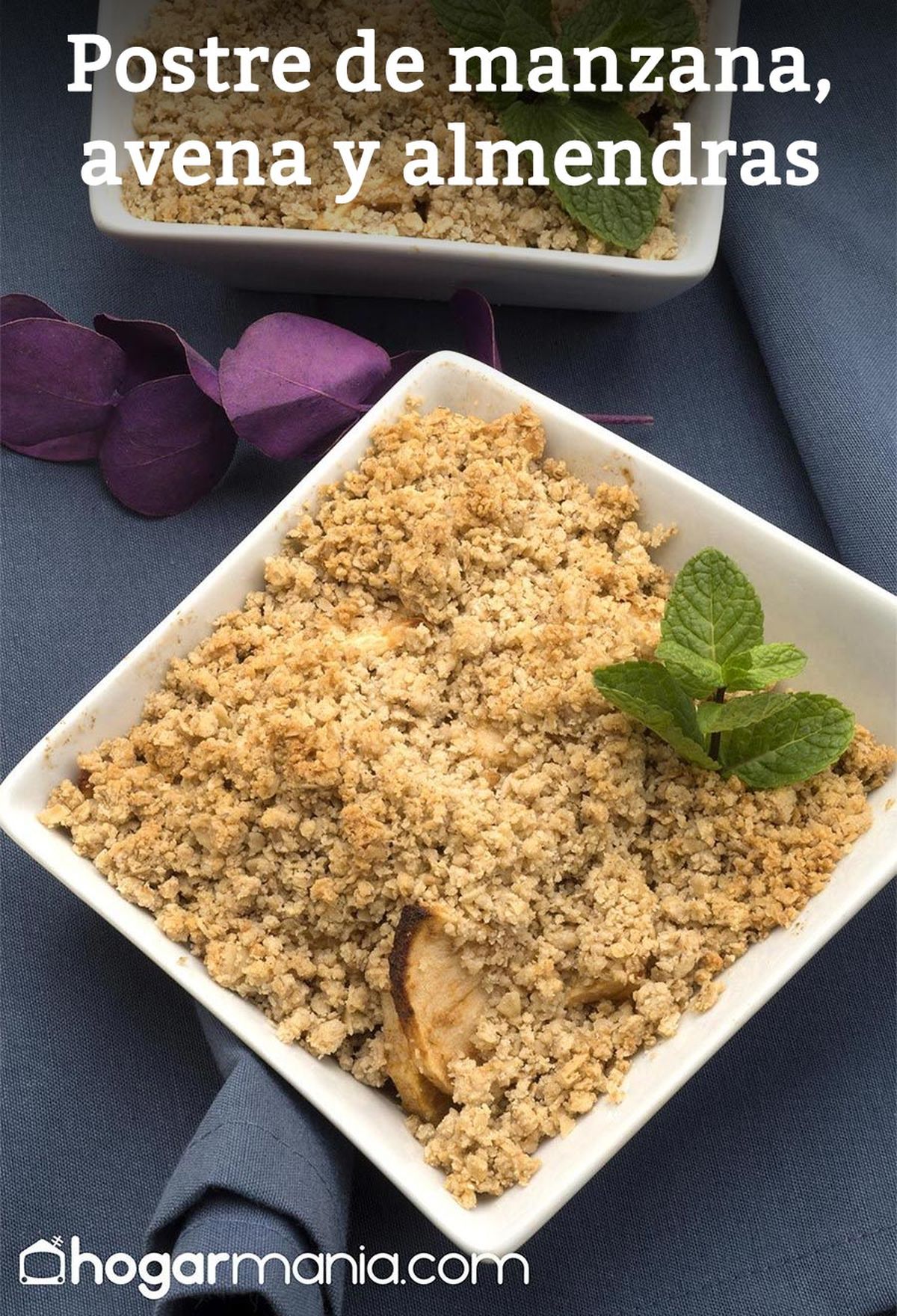 5917 2 Manzana, avena y almendra (1303) vertical xl