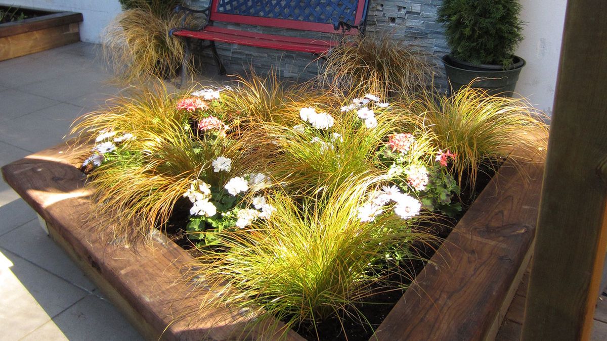 Contenedores para cultivo paso 13