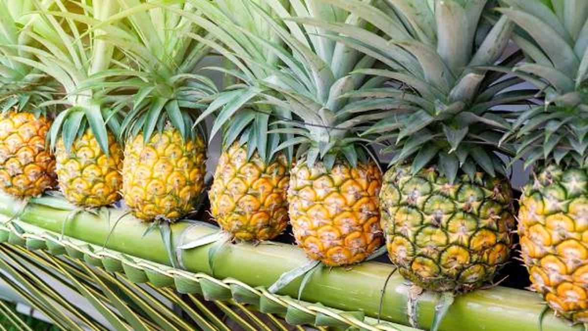 Piña