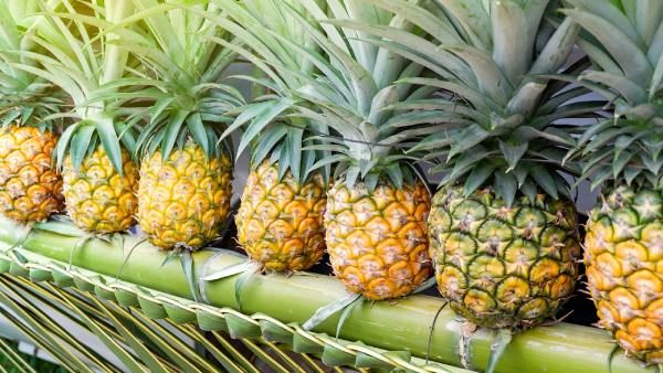Piña