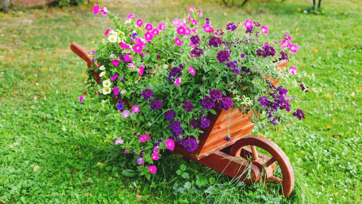 decorar jardin carretillas plantas xl