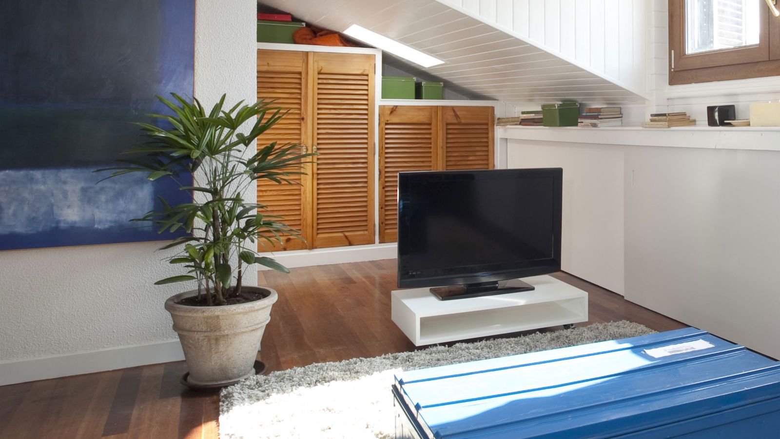 deko 0382 jardin plantacion cuidados raphis excelsa detalle