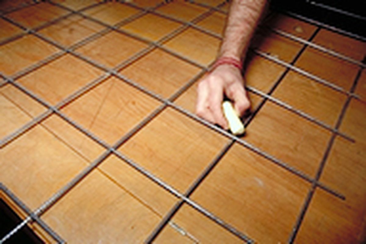 celosia enredaderas p1