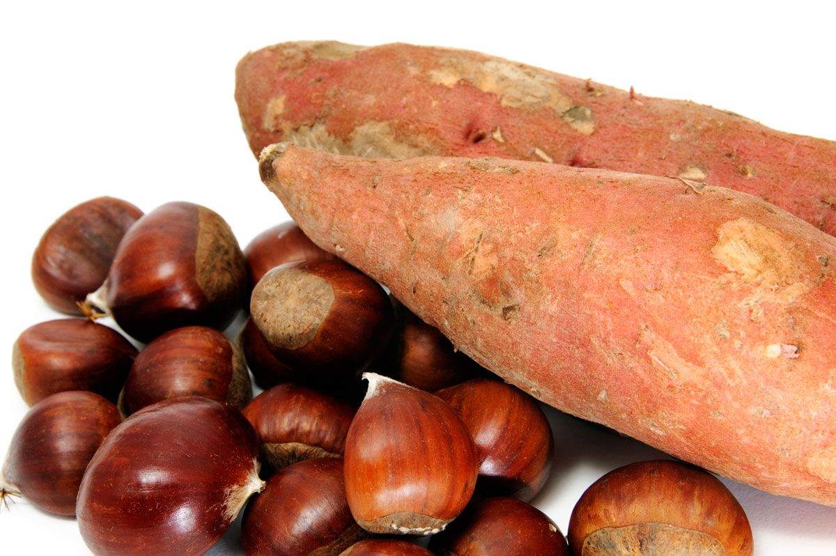 castanada
