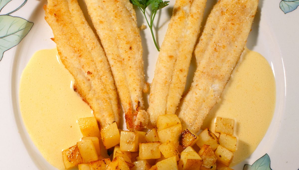 144 2 lenguado saint germain xl