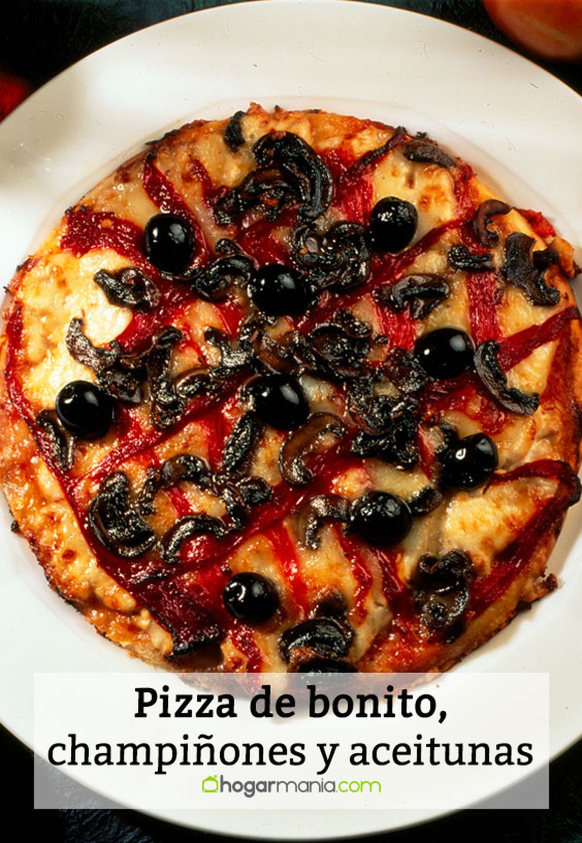 079 2 pizza bonito pin