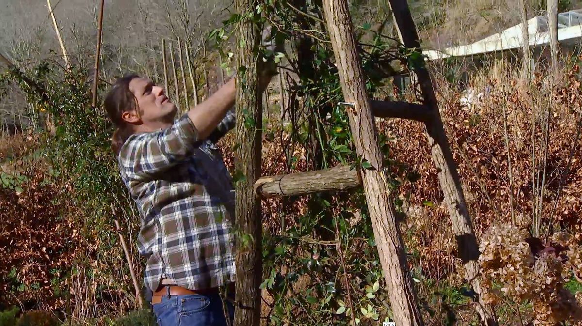 Hacer una estructura para un rosal trepador paso 3