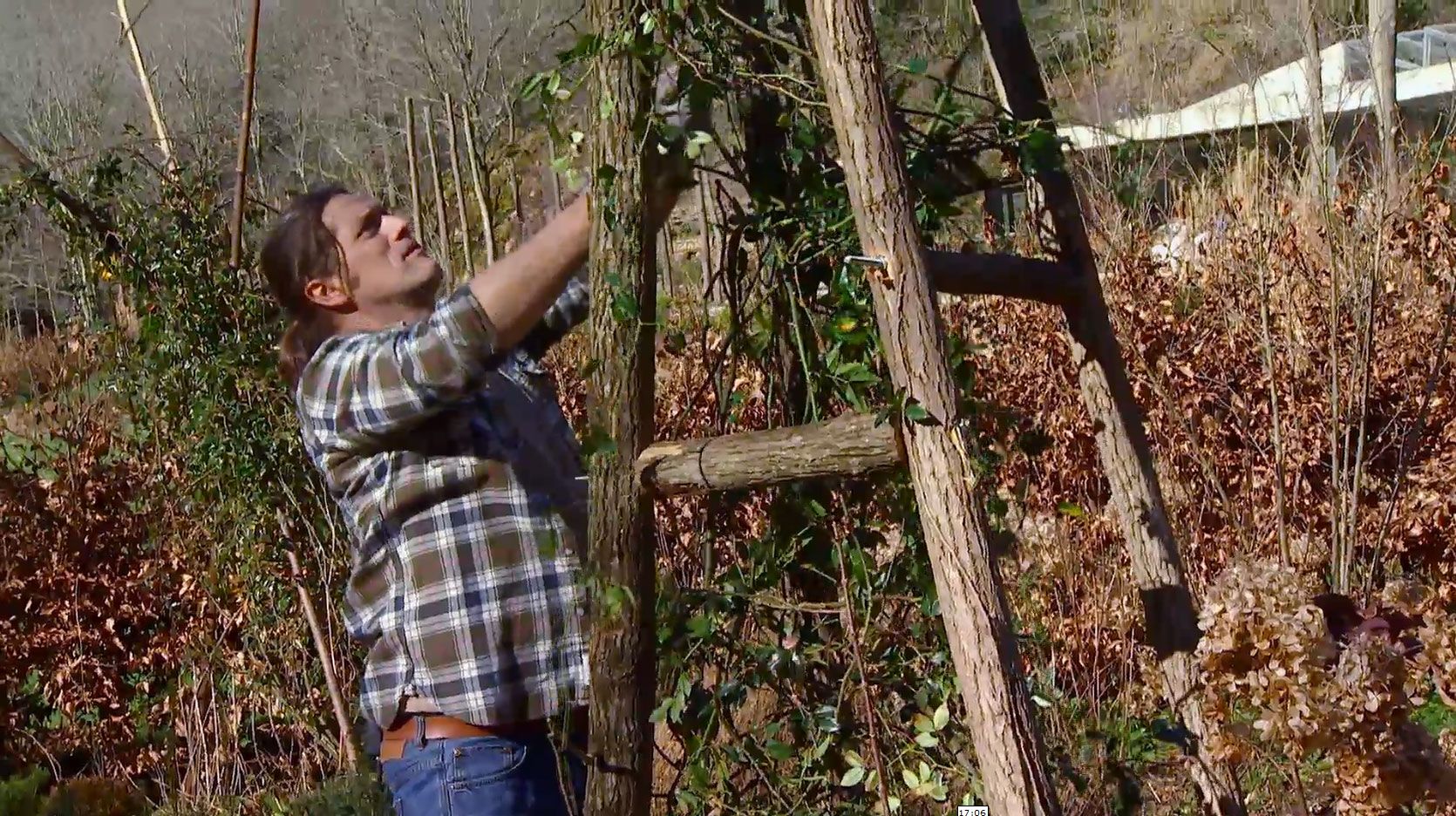 Hacer una estructura para un rosal trepador paso 3