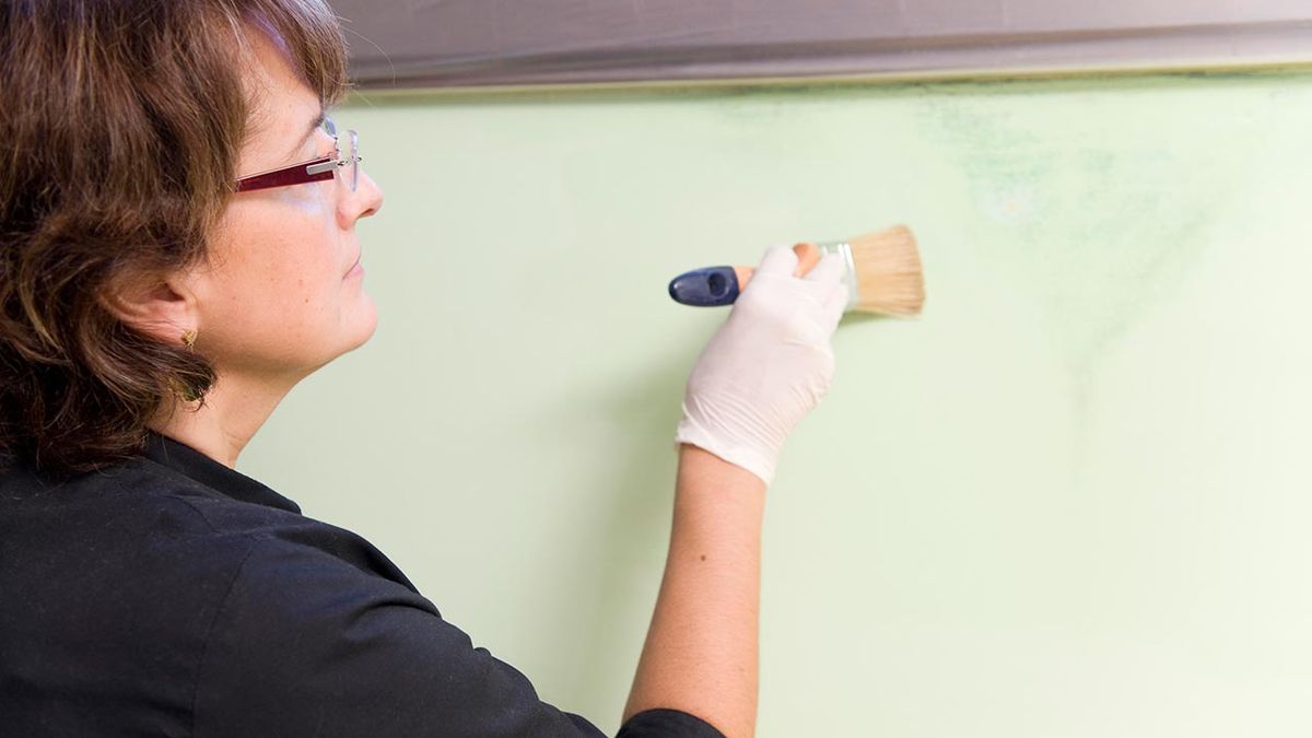 brico 0535 1 eliminar mancha humedad paso 5