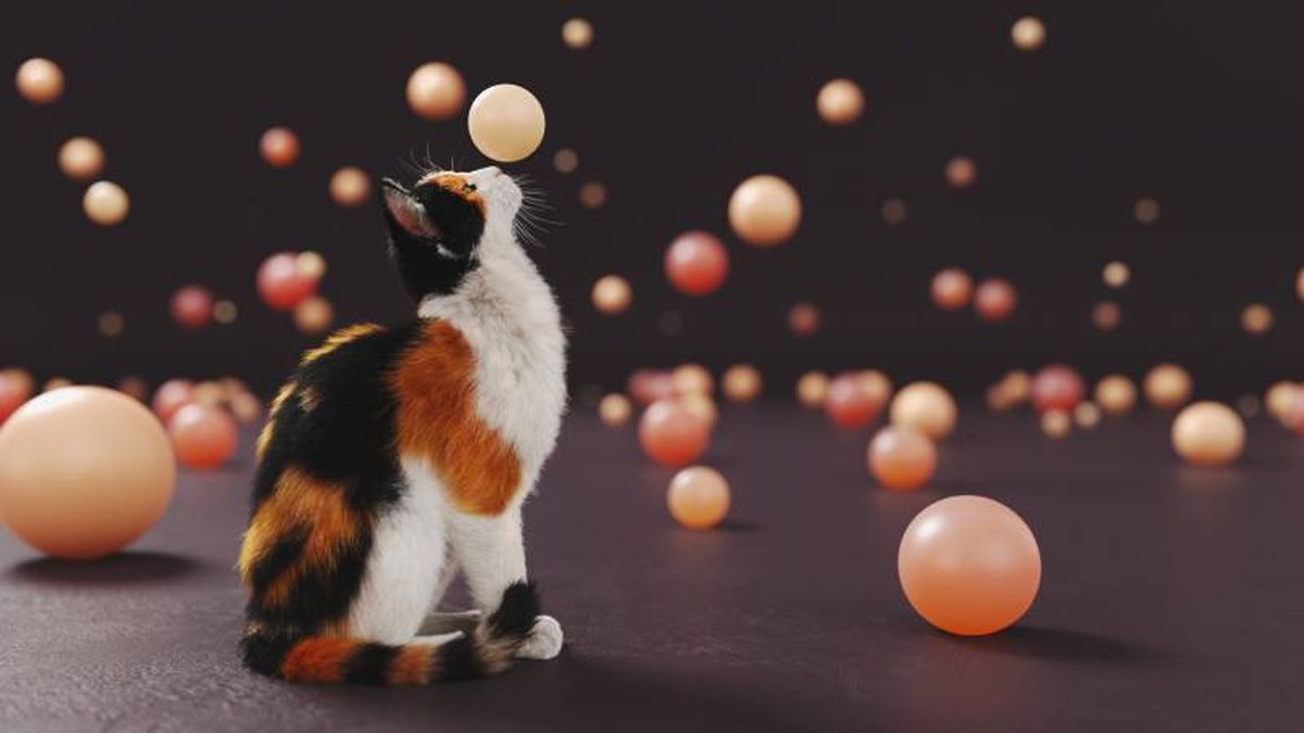 Los gatos calicó han sido considerados portadores de buena suerte en diversas culturas.