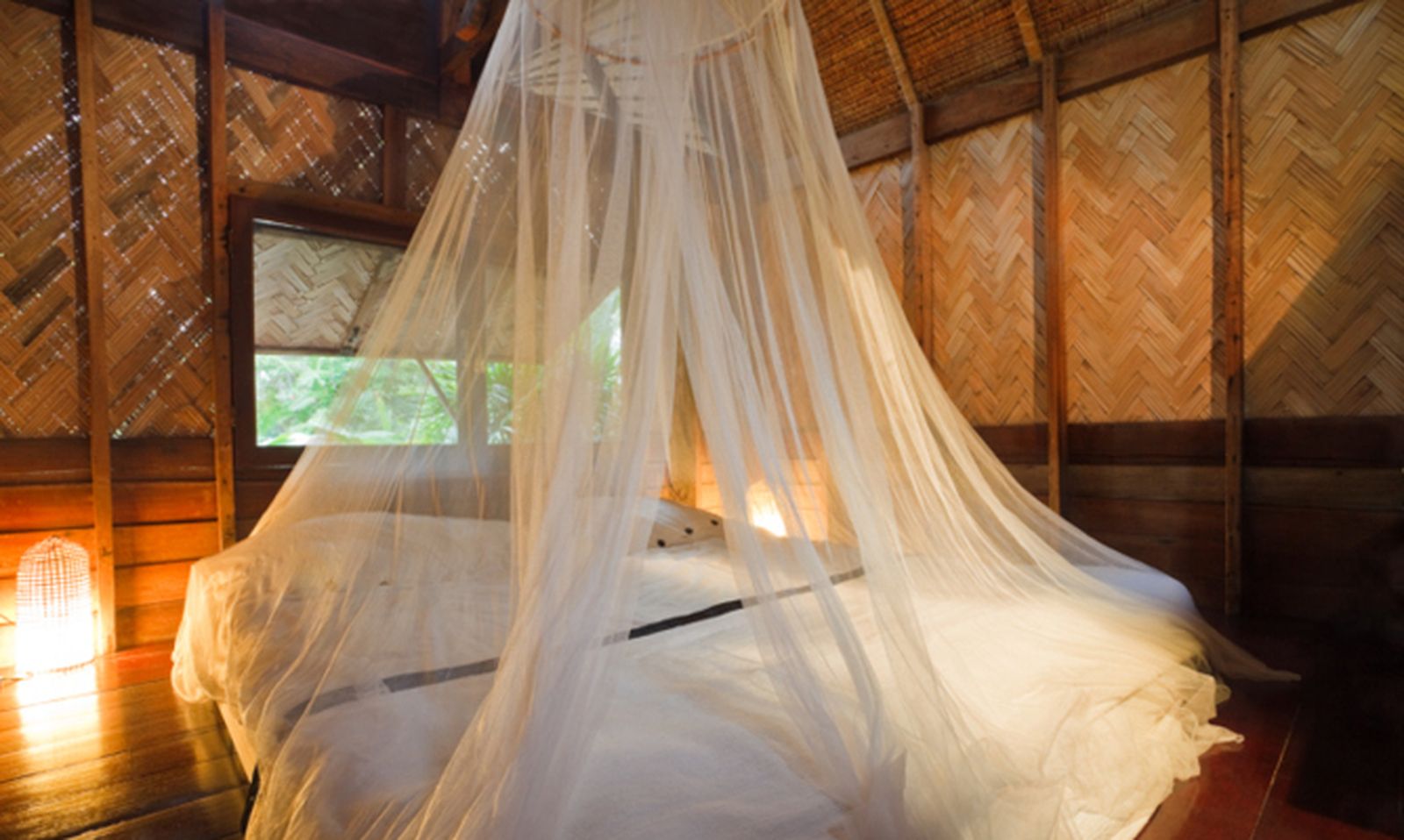 TTAR0119_Tela mosquitera