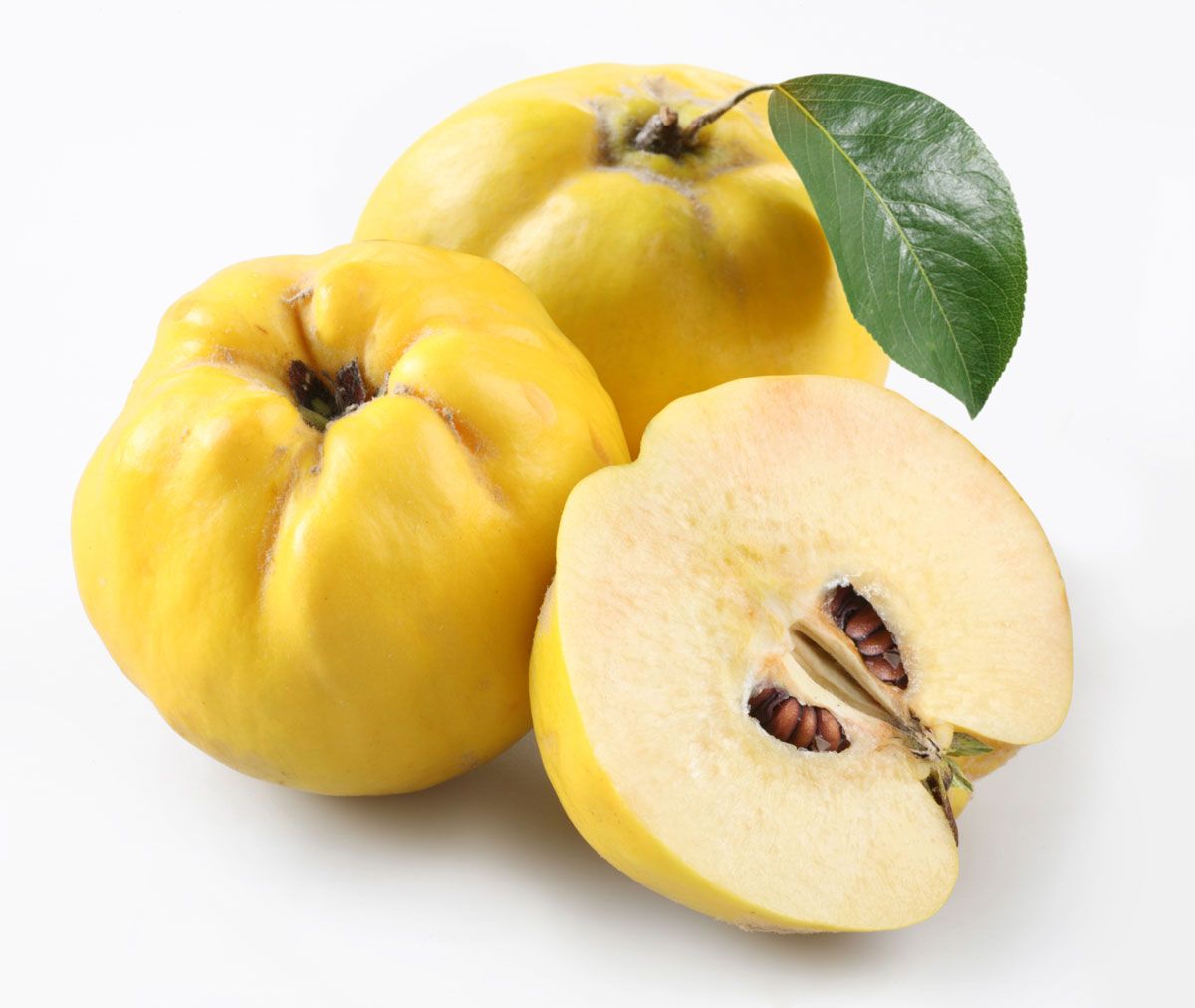 membrillos xl