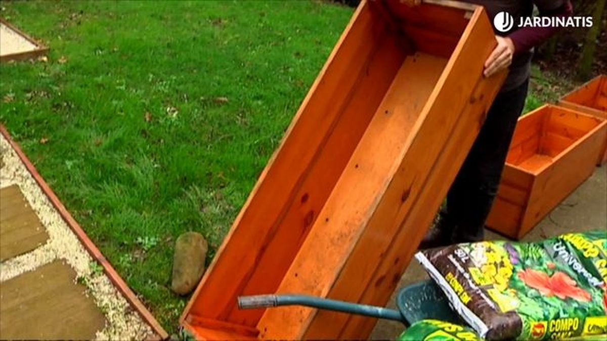 plantacion setos bajos en contenedor brico 678