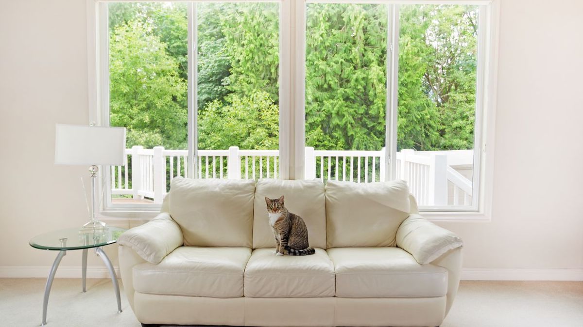 Limpiar el salón en 15 minutos