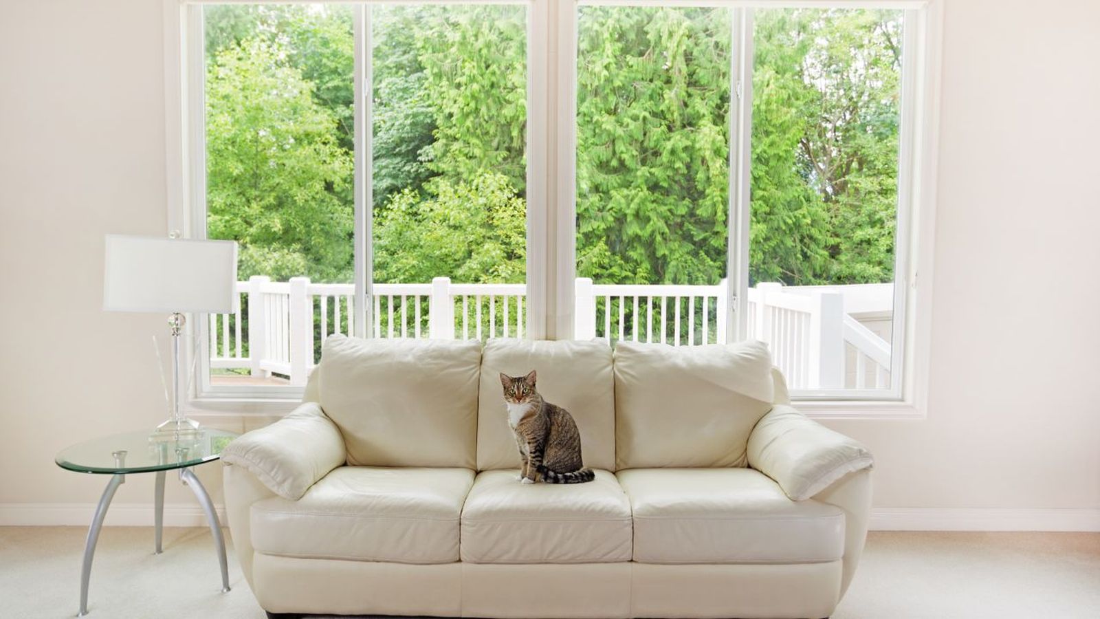 Limpiar el salón en 15 minutos