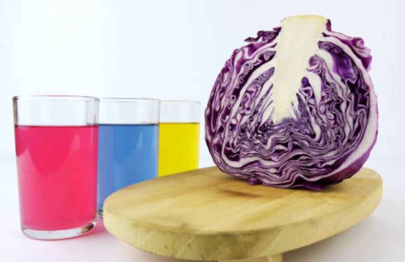 experimento con lombarda indicador de PH