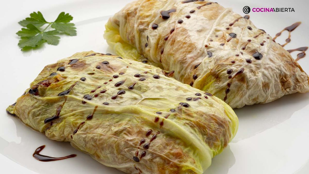 KARL7035 col carne xl